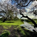 LittleThompsonsCreek1