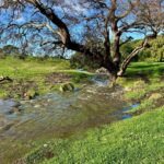 LittleThompsonsCreek2