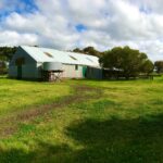 ShearingShed_v2