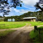 TheSilosHayShedTractorShed_v2