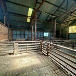 ShearingShed6