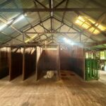 ShearingShed7