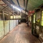 ShearingShed9