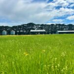 TheSilosHayShedTractorShed5