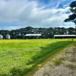 TheSilosHayShedTractorShed6