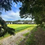 TheSilosHayShedTractorShed7