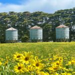 TheSilosHayShedTractorShed9