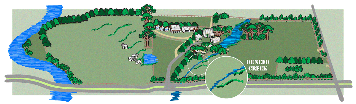 Duneed Creek