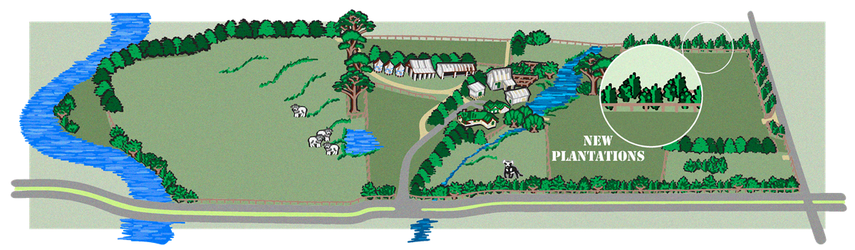 New Plantations