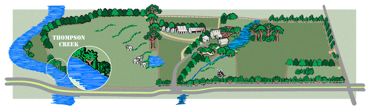 Thompsons Creek