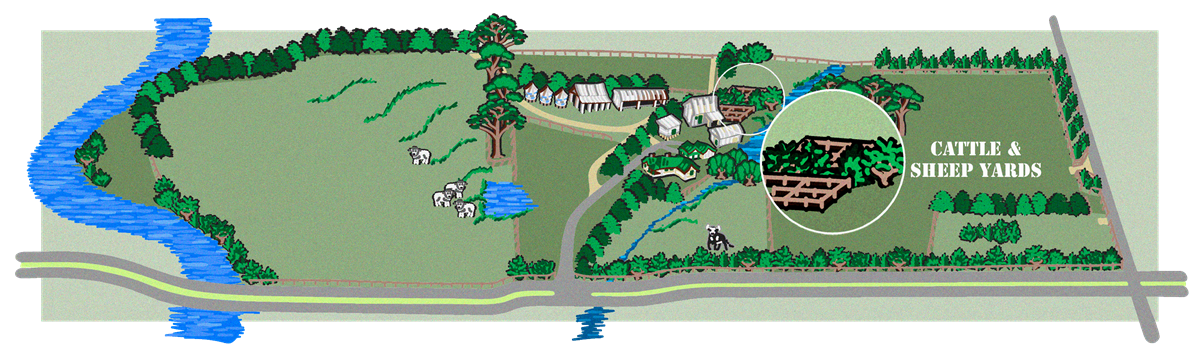 Cattle & Sheep Yards