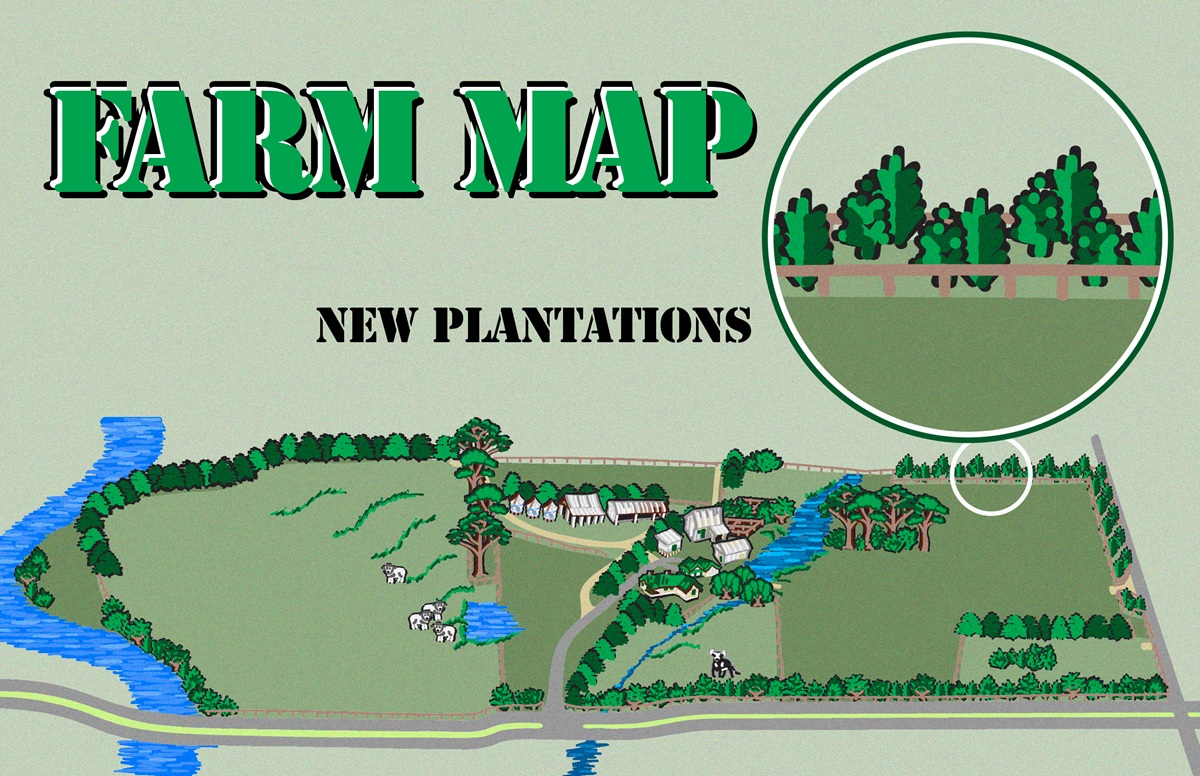 New Plantations