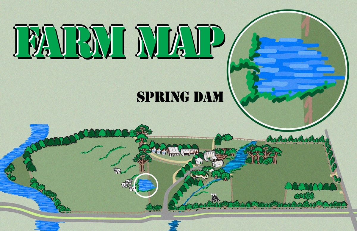 Spring Dam
