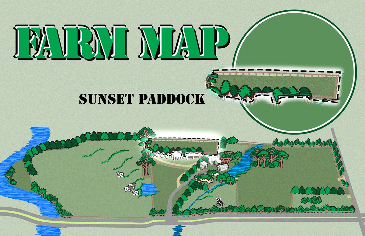 Sunset Paddock