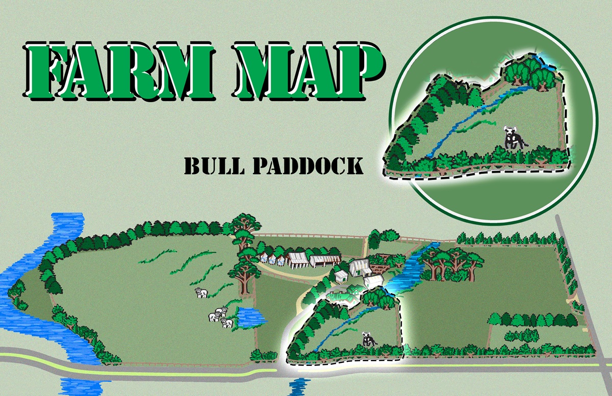 The Bull Paddock