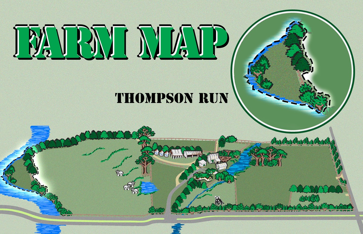 Thompson Run