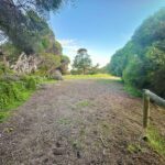 ThompsonRunPADDOCK 1