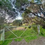 ThompsonRunPADDOCK 2