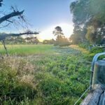 ThompsonRunPADDOCK 3